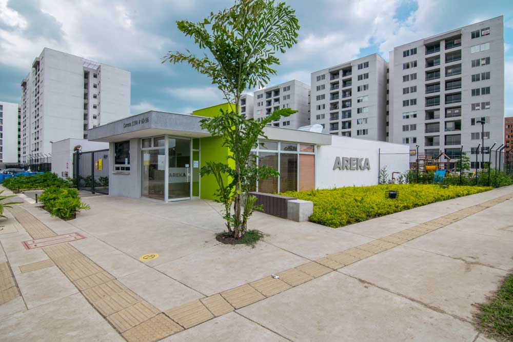 areka_comun_02