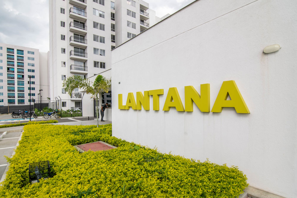lantana_comun_01