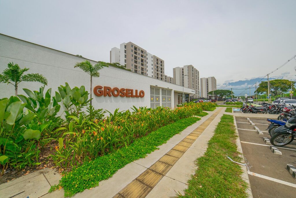1-grosello