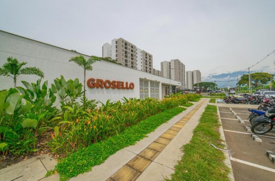 Grosello 3-407 / Kachipay