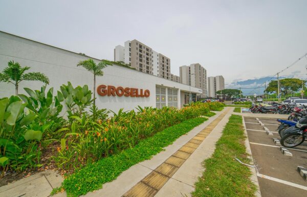 1-grosello