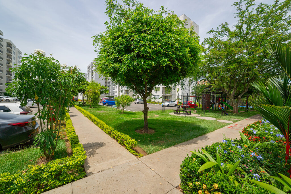 3-Lantana