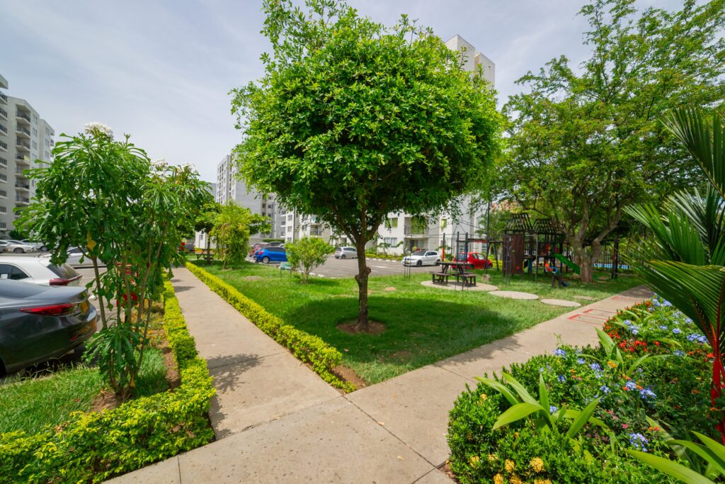 3-Lantana