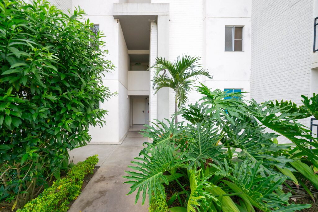7-Lantana